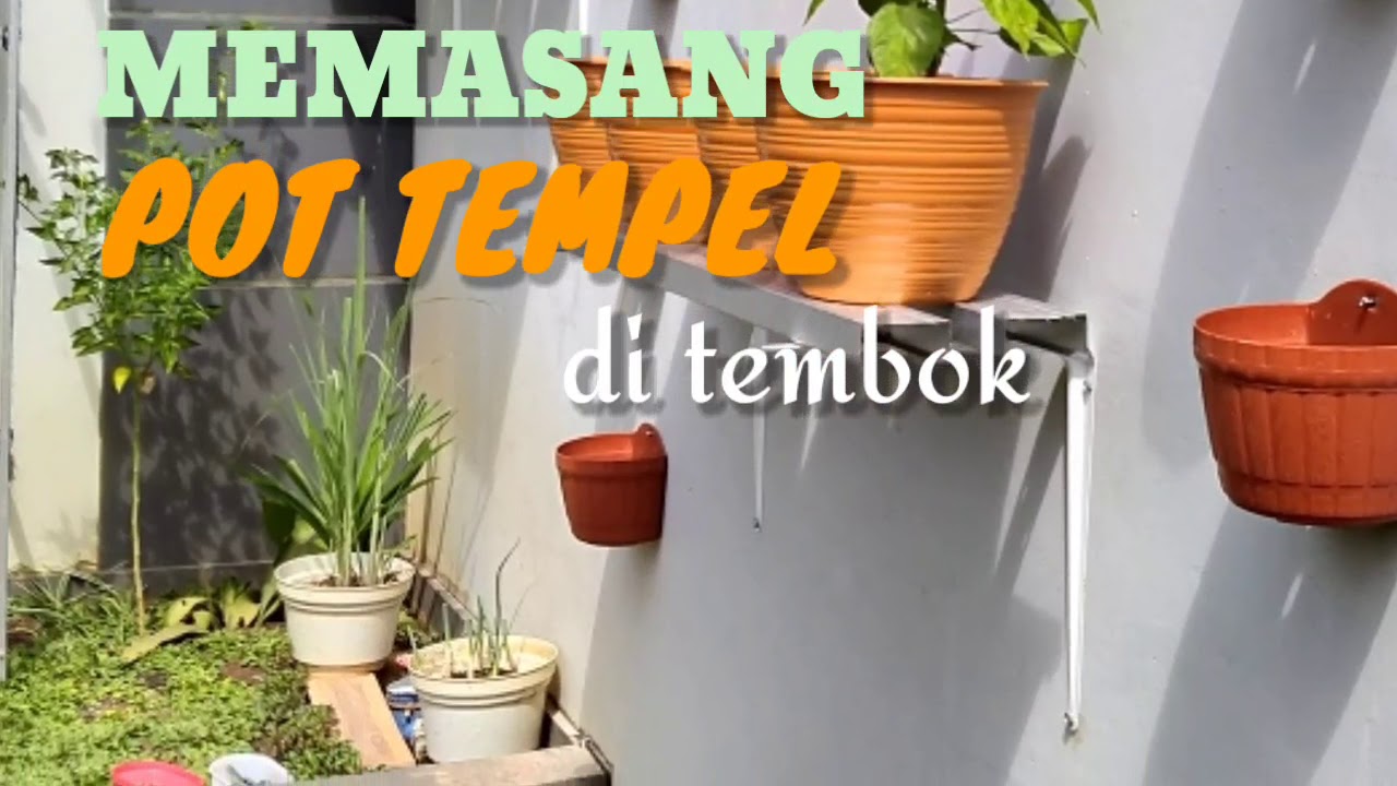 Memasang Pot  Tempel Taman di  Tembok  YouTube