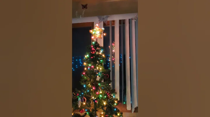 Video 6564101: russian blue cat enjoys, happy cat