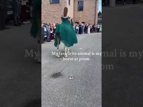 دخول الحفل لم يكن كما توقعت