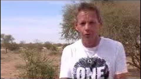 Running The Sahara Update 2