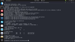 How To Install and Configure BIND9 DNS Server on Ubuntu 20.04 LTS