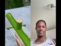 #bambooart #bamboo #slingshot #viral