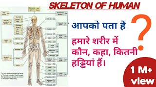 मानव कंकाल human skeleton शरीर में कितने हड्डियां होती है/#Targetourexam