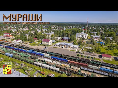 Видео: Мураши (Прогулки по Кировской области)