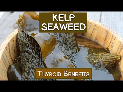 Video: Laminaria Thallus (seaweed) - Instructions For Use, Reviews