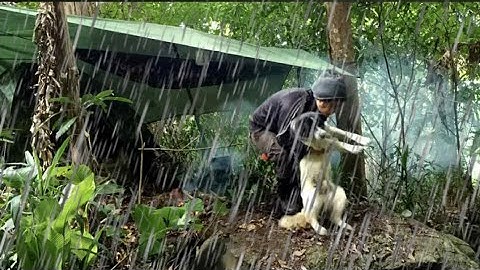 ฝนถล่ม นอนป่ากับขาวดำ บรรยากาศดีมาก