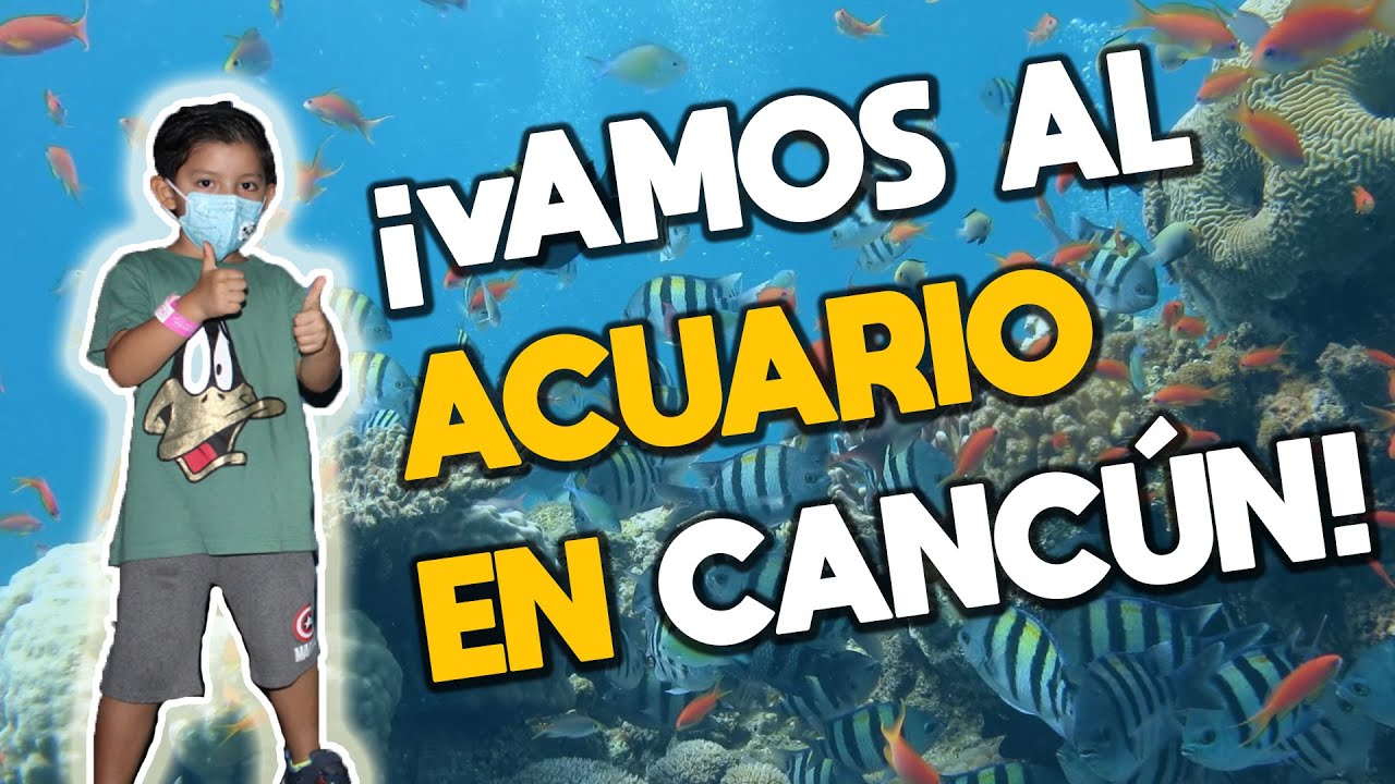 Divirtiendome en el ACUARIO INTERACTIVO Aquarium plaza la isla CANCUN