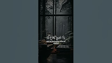 القرأن الكريم تلاوات خاشعة #راحة_نفسية_للقلب #اليوم_تجزى_كل_نفس_بما_كسبت #اجر #سبحان_الله_وبحمده