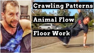 Crawling Patterns, Animal Flow and Locomotion for Parkour, Grappling and Dance