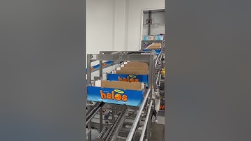 Automatic empty box delivery system by @packlinetech #agriculturetechnology