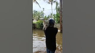 rain rain come again #emilymedia