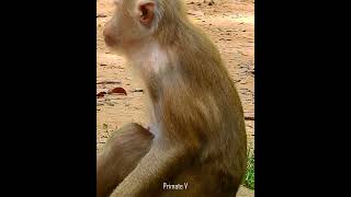 01 Libby When She Streesfull She Always Abus E To Baby Leo