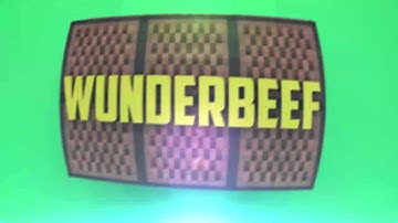 WunderBeef v 2 Intro by QaneFX