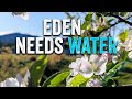 How to Install &amp; Fix Garden Drip Lines (Orchard Drip Irrigation Repair)