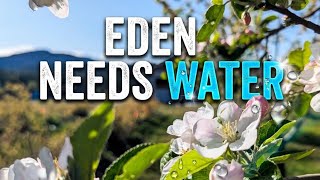 How to Install & Fix Garden Drip Lines (Orchard Drip Irrigation Repair)