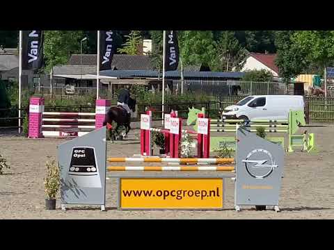 Olympia-Kira vh Horzelend Jump off @ Van Mossel Automotive cub 5yo horses 2nd place!