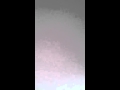غنى العشي ١