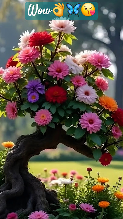 https://youtube.com/@naturebeauty11h?si=3xXO2vdoMlnDMLX3