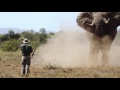 Elephant charge  ivan carter