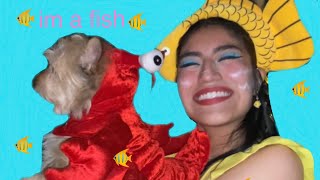 how to make a fish costume for halloween