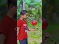 Creative Toll Coconut Tree Branch with Two Bamboo Tube Creation #craft #bamboo