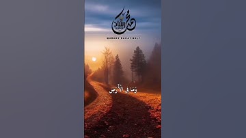 أية الكرسي لكي تحمي نفسك سورة البقرة الأية (255)