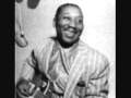 Muddy Waters "Rollin Stone"