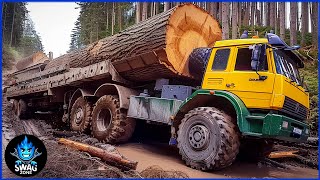 : 100 MOST CRAZY Biggest Wood Logging Truck Operator Skill Working At Another Level | Best Of The Week