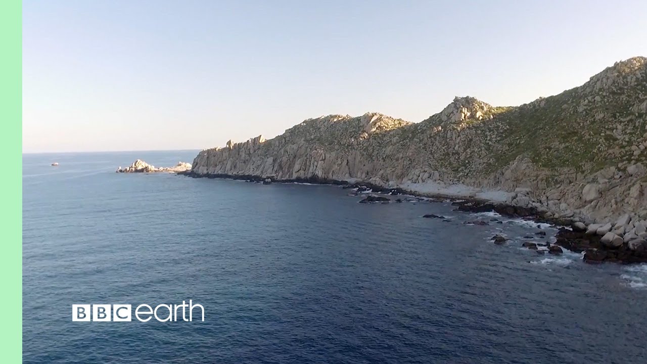 Stunning Coastlines in HD (2023)
