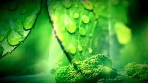 ACIM. Lesson 271. Christ