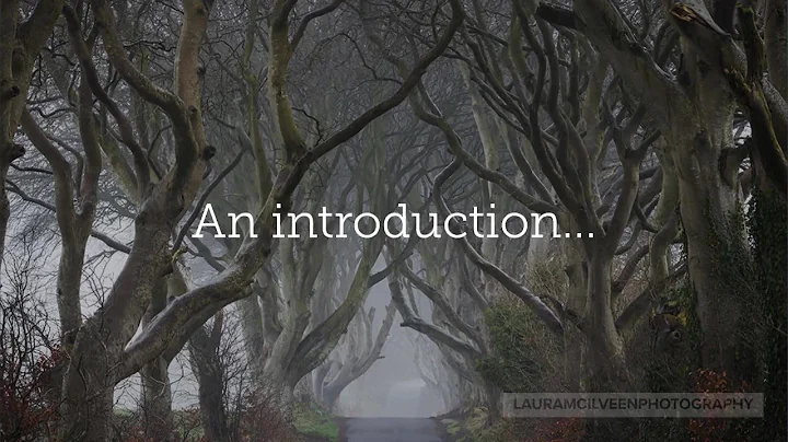 An Introduction - Laura McIlveen Landscape Photogr...