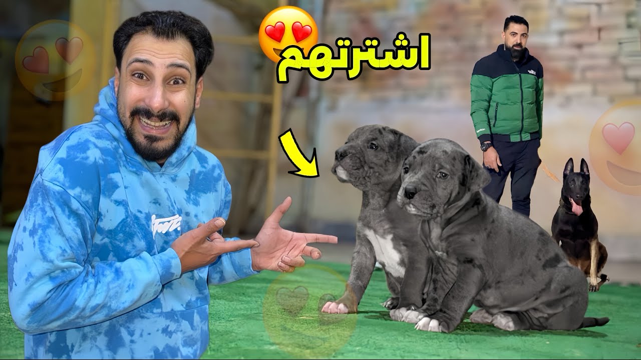 اشتريت نوع كلاب غريب جدا | وكلب مالينو بنصف مليون جنيه😱