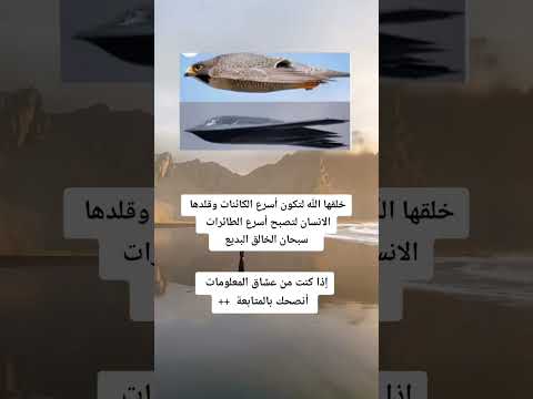 الطائرة الشبح 