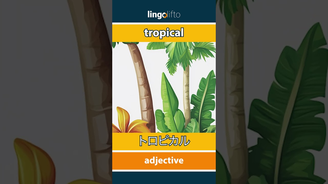 🇬🇧🇯🇵 tropical - トロピカル : learn English : 英語を学ぼう