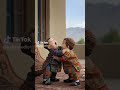 #instagramreels #viral #india #youtubeshorts #elvishyadav #trending #afghanistan