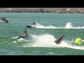 Best of the West Afternoon Session