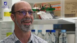 New hope for blood cancer treatment