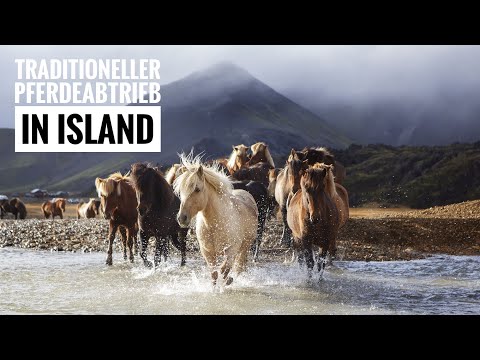 Video: Landmannalaugar: Opas Islannin Keskiylängöön