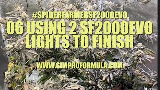 06- 18/6 to Finish Flower #spiderfarmersf2000 EVO 4x2 Grow Tent 6" Clip Fan,  @simproformula4640