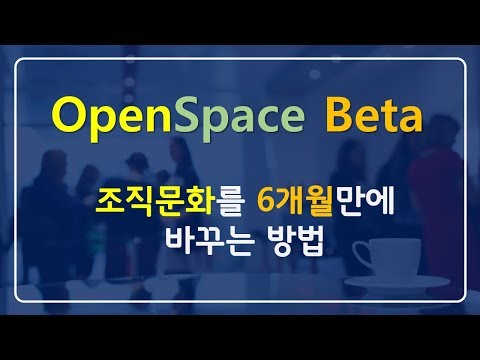 조직문화를 6개월만에 바꾸는 방법, 오픈스페이스베타