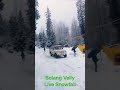 Live Snowfall #Solang velly #short #viral #snow #snowfall #2023 #january
