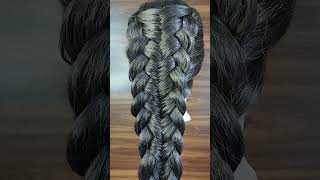 6-strand braid/fishtail braid. #hair #hairgrowth #hairtutorial