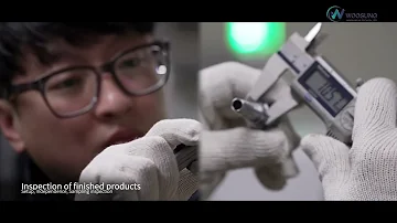 WOOSUNG HITECH VIDEO 우성하이텍