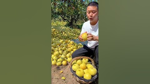 What summer fruit sesty #fruitcutting #nature #fruit #farming #fruitgrowing #vegetable #shortvideo