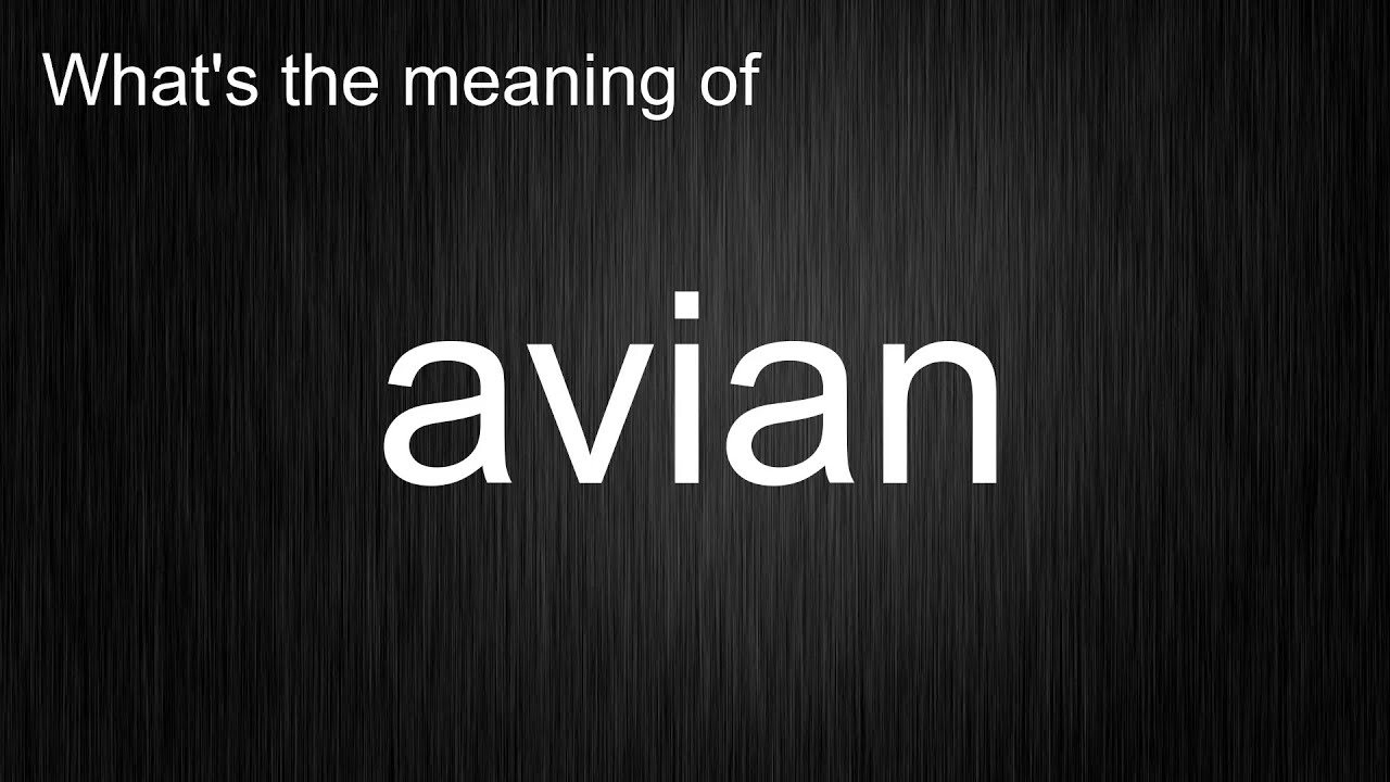 What s The Meaning Of avian How To Pronounce Avian YouTube what-s-the-meaning-of-avian-how-to-pronounce-avian-youtube