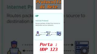 I 12 Protocolli di Rete ✨🔌📡 che USI OGNI GIORNO! 🌍💻 #TCP #UDP #IP #HTTP #Networking #Informatica 🚀