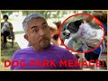 HE HAS BITTEN EVERYONE! (DOG PARK MENACE) | Cesar911 Shorts