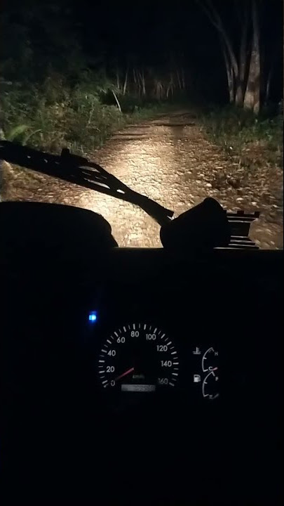 story wa & ig nyetir truk malam hari ditengah hutan terbaru