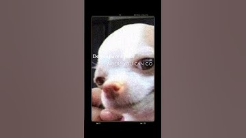 Zayas.AI saved my life