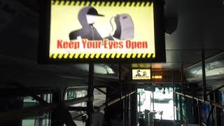 NEW BCT BUSES QUICK TOUR